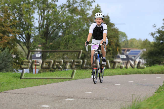 D6199.jpg